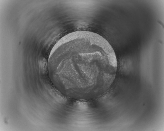 X0000103960228200810171909