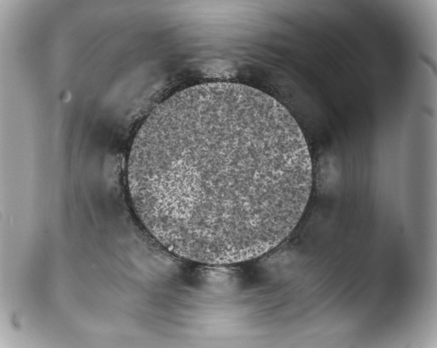 X0000103960229200810171909