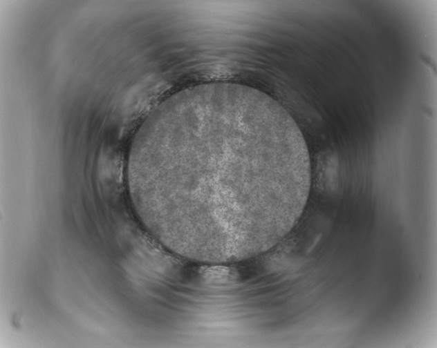 X0000103960230200810171909