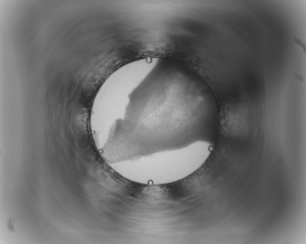 X0000103960231200810171909