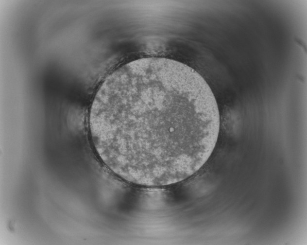 X0000103960233200810171909