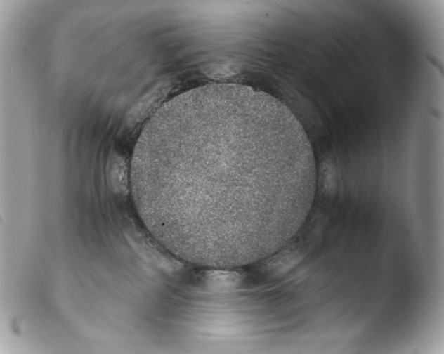 X0000103960234200810171909