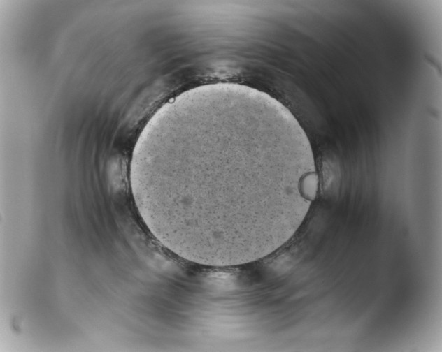X0000103960236200810171909