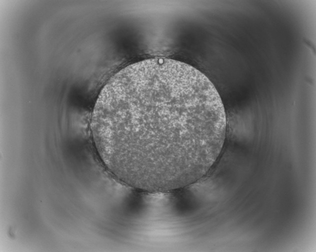 X0000103960237200810171909