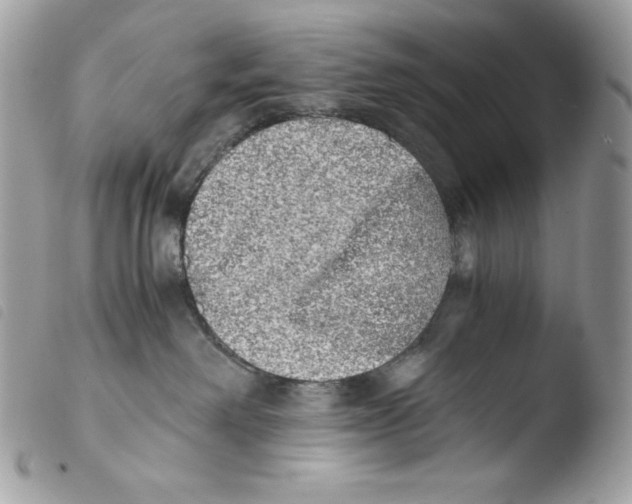X0000103960238200810171909