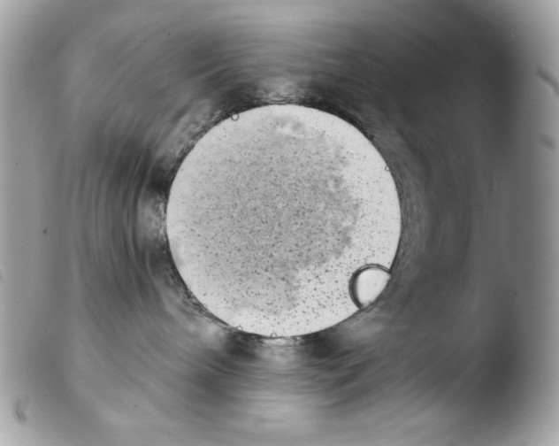 X0000103960240200810171909