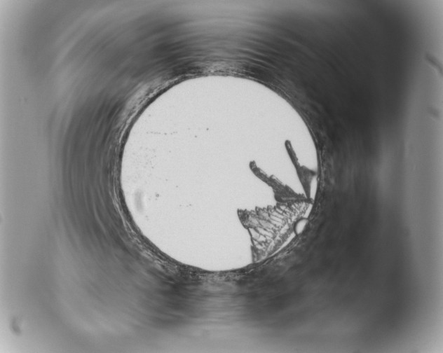 X0000103960241200810171908
