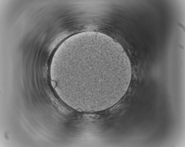 X0000103960242200810171908