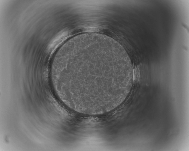 X0000103960243200810171908