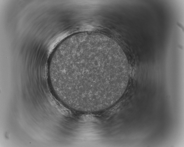 X0000103960244200810171908