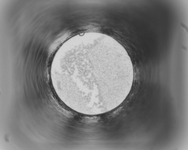 X0000103960245200810171908