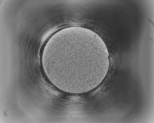 X0000103960246200810171908