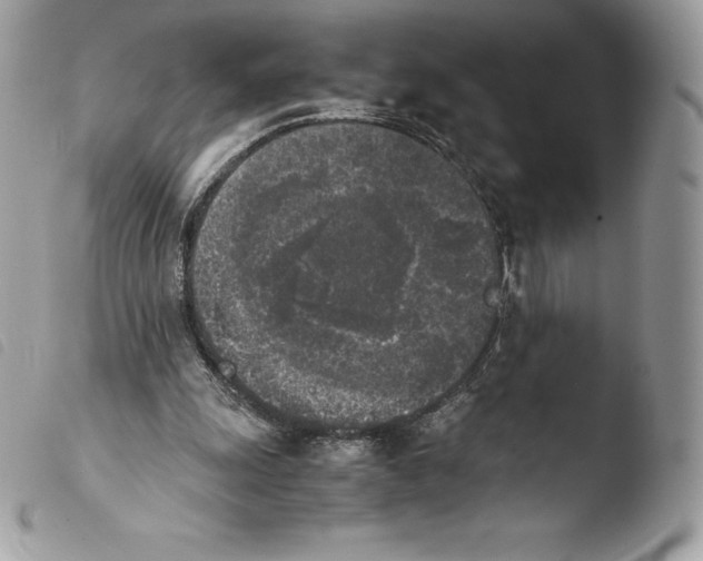 X0000103960247200810171908
