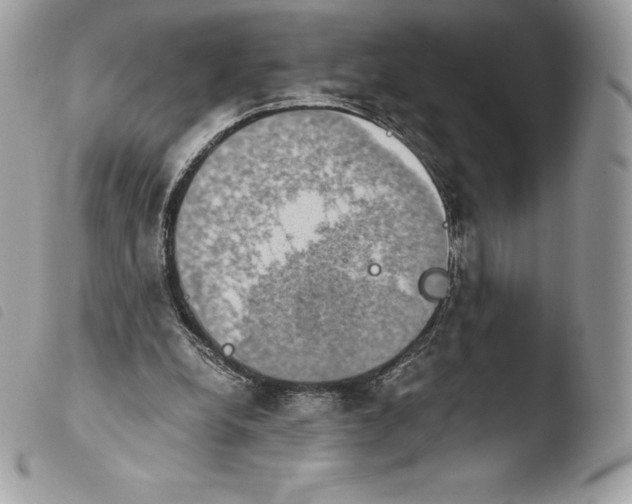 X0000103960248200810171908