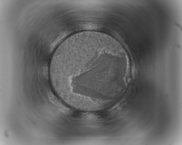 X0000103960249200810171908
