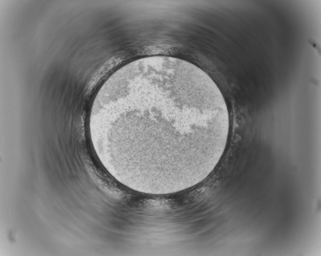 X0000103960250200810171908