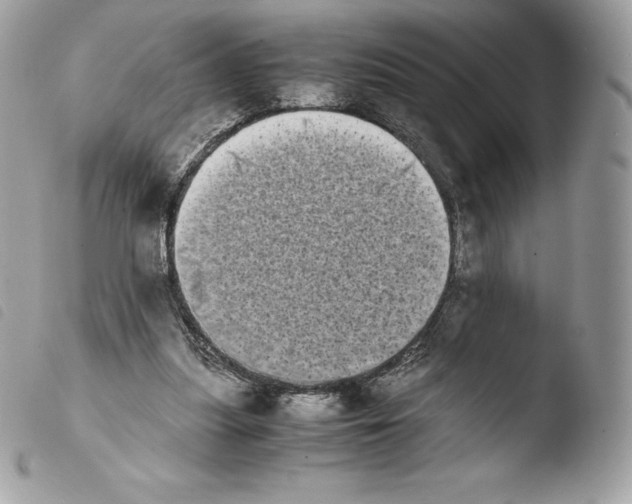 X0000103960251200810171908