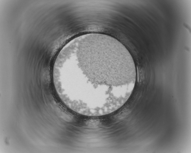 X0000103960252200810171908
