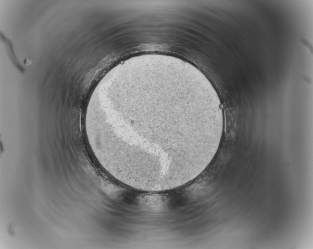 X0000103960253200810171908