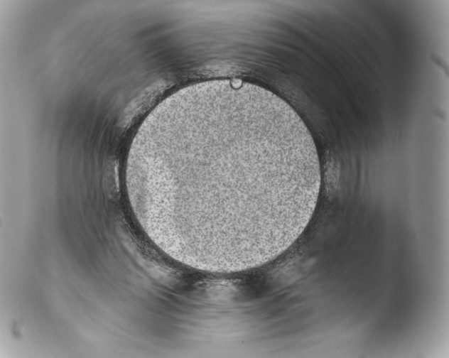 X0000103960254200810171908