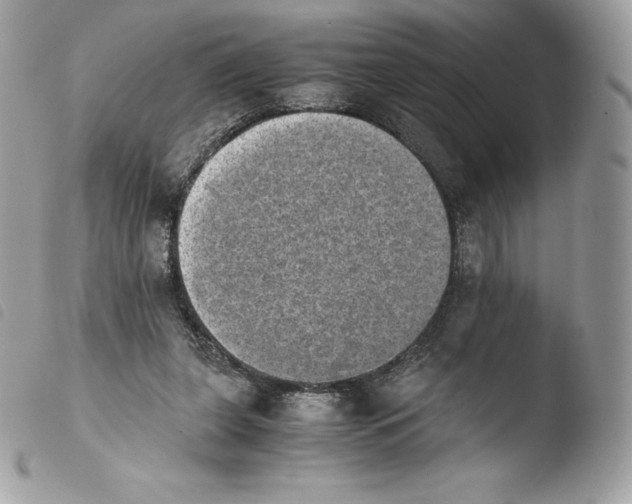 X0000103960255200810171908