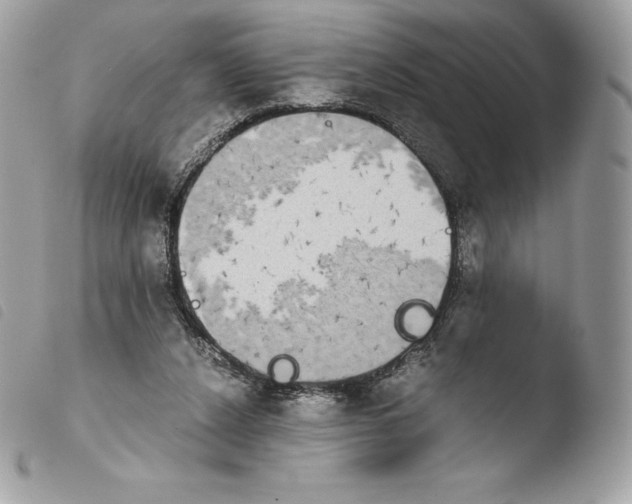 X0000103960256200810171908