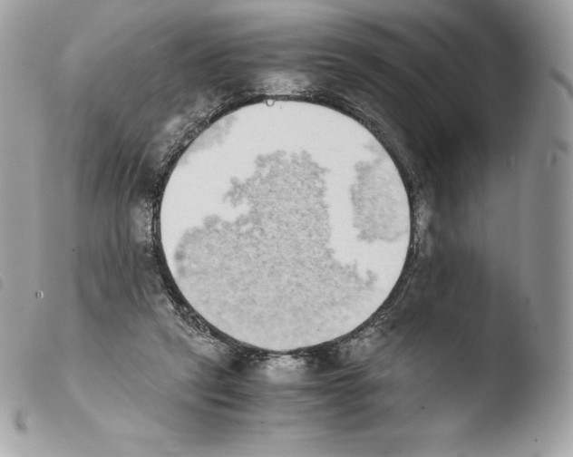 X0000103960257200810171908