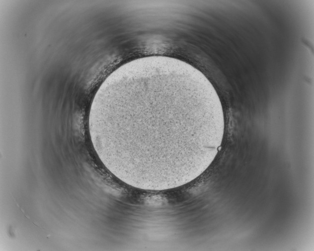 X0000103960258200810171908