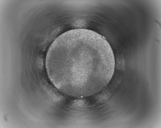 X0000103960259200810171908
