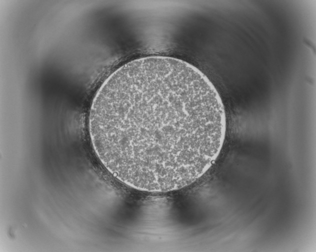 X0000103960260200810171908