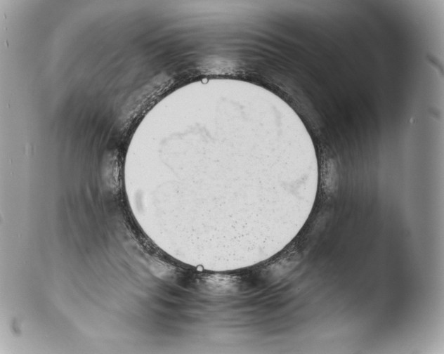 X0000103960261200810171908