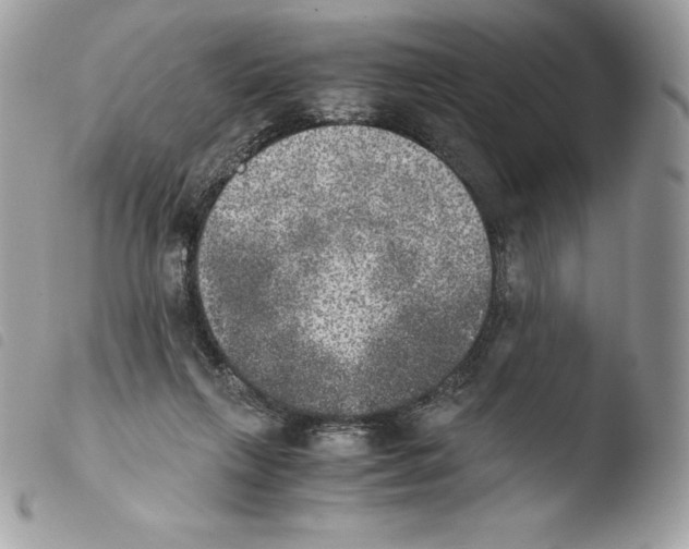 X0000103960263200810171908