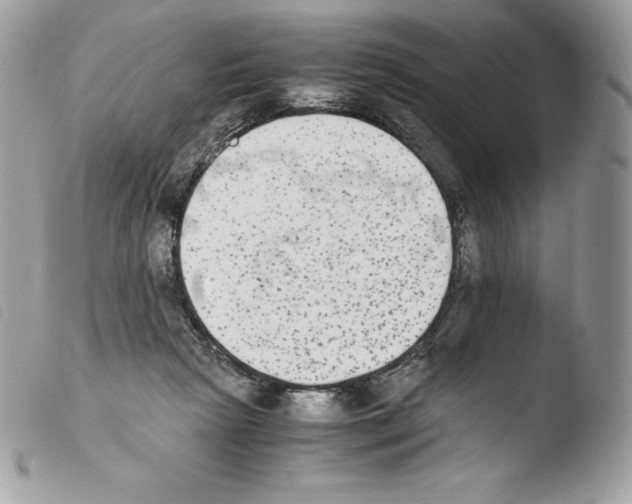 X0000103960265200810171908