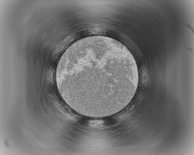 X0000103960266200810171908