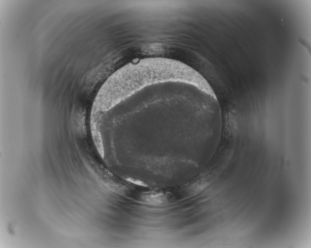 X0000103960267200810171908