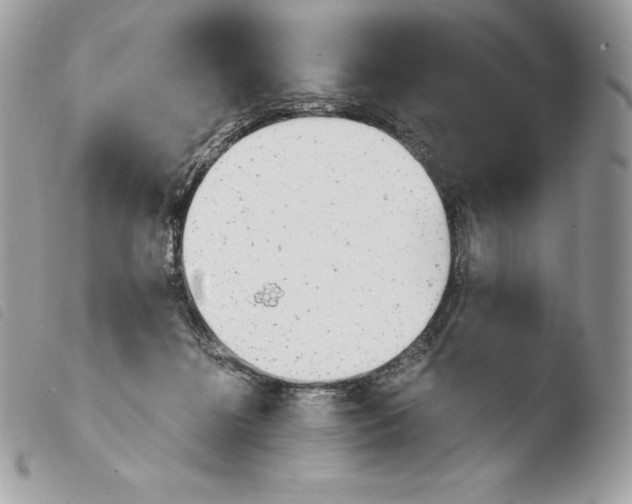 X0000103960268200810171908