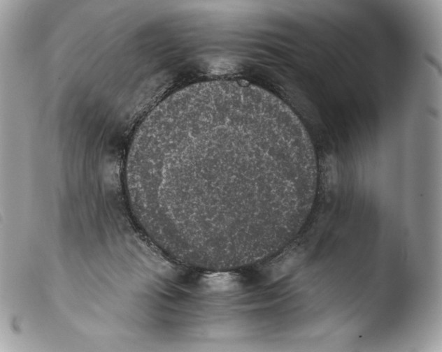 X0000103960269200810171908