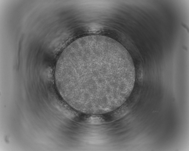 X0000103960270200810171908