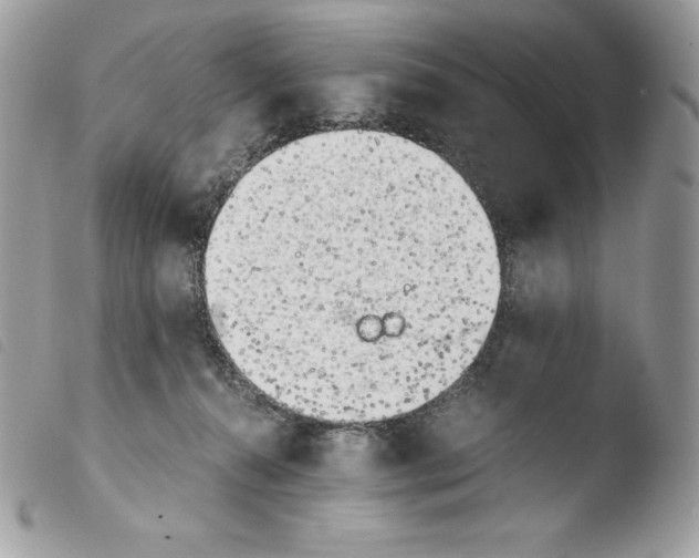 X0000103960272200810171908
