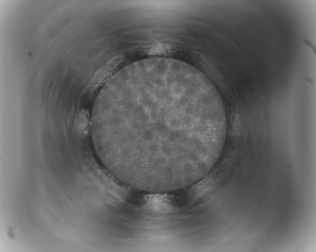 X0000103960273200810171908