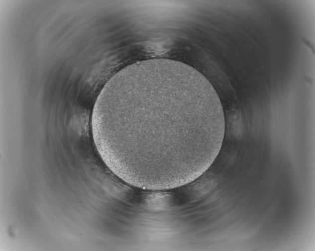 X0000103960274200810171908