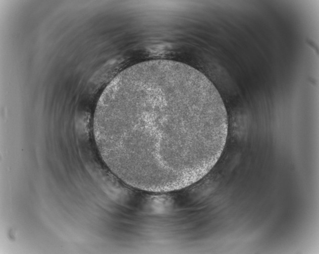 X0000103960275200810171908