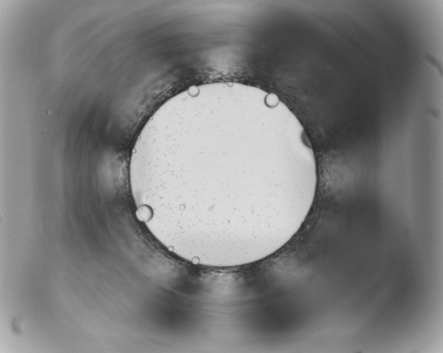 X0000103960276200810171908