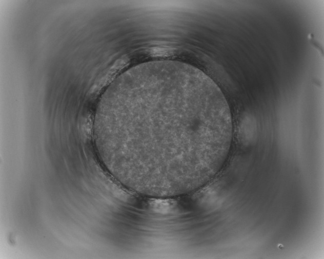X0000103960277200810171908