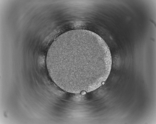 X0000103960278200810171908