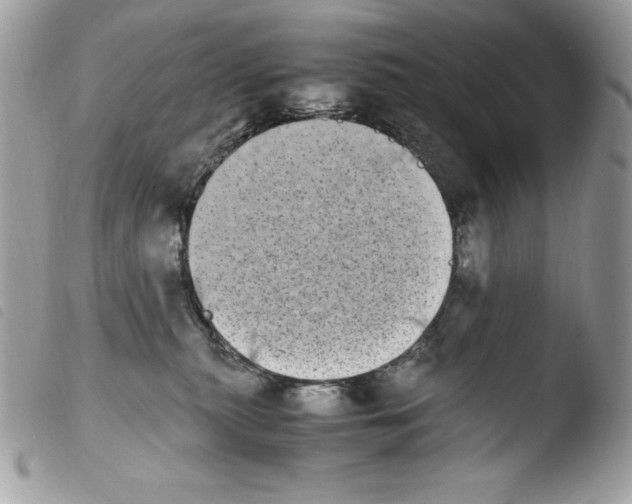 X0000103960279200810171908