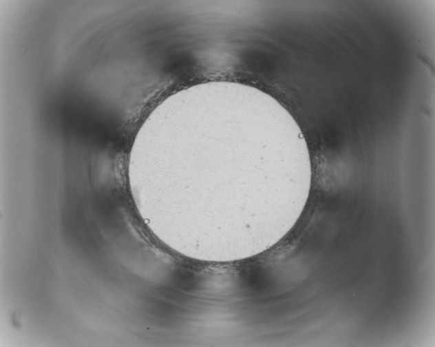 X0000103960280200810171909
