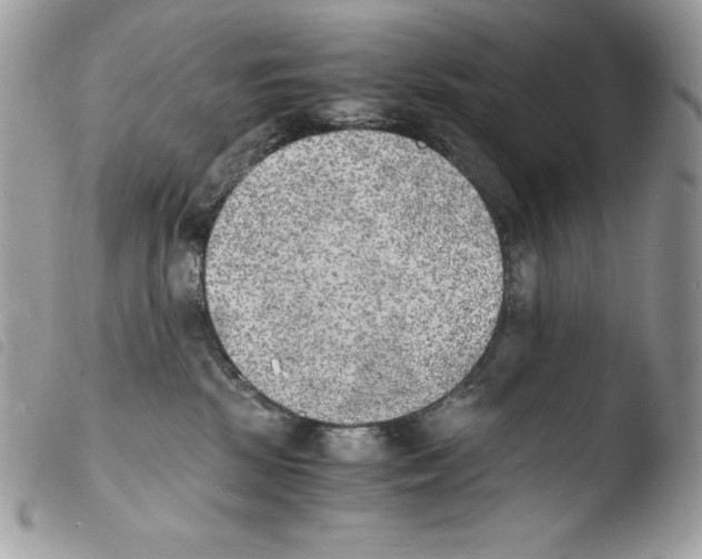 X0000103960281200810171909