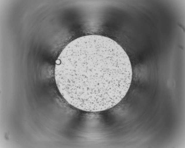 X0000103960284200810171909