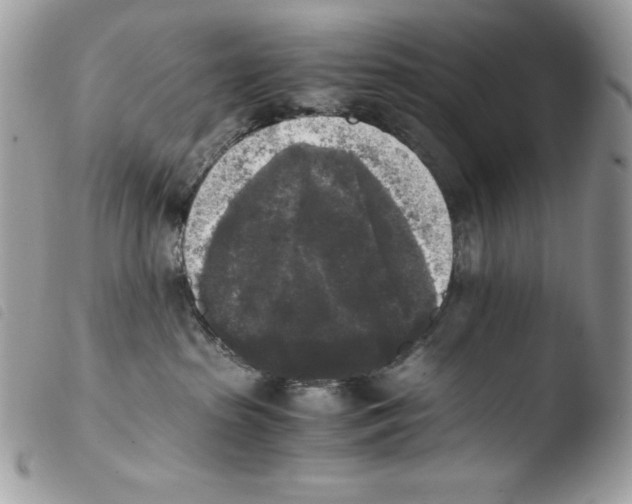 X0000103960285200810171909